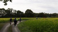Strasbourg-Ortenau Eurodistrict: A cross-border cycle ride to bring citizens on either side of the Rhine together
