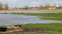 Cross-border flood management: what the report by François Decoster has to say