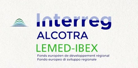 Lemed-Ibex - programme européen pour le bouquetin des Alpes