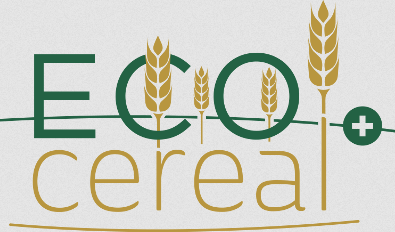 ECOCEREAL +, production et valorisation des céréales biologiques dans l’espace transfrontalier